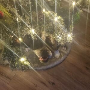 Like For Live Show Notification Saturday December 13!